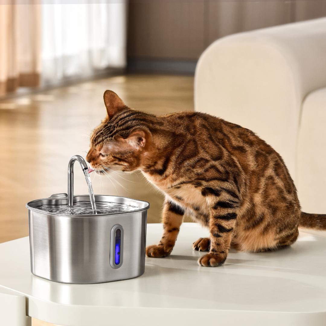KittySpout 2.2L Smart Pet Fountain: Quiet, Filtered Hydration for Cats & Dogs