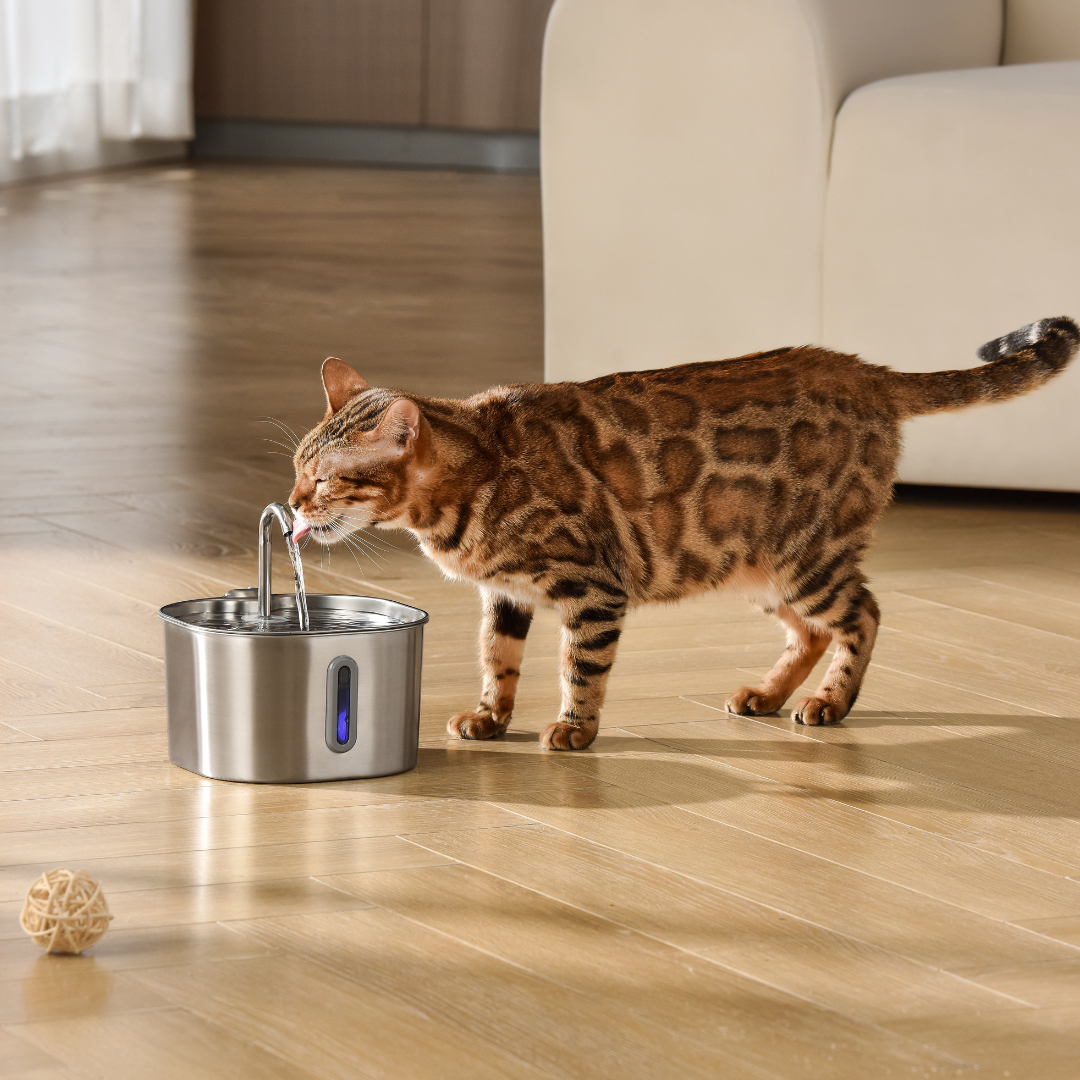 KittySpout 2.2L Smart Pet Fountain: Quiet, Filtered Hydration for Cats & Dogs