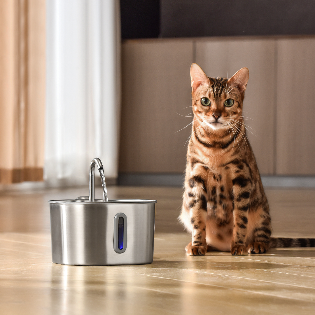 KittySpout 2.2L Smart Pet Fountain: Quiet, Filtered Hydration for Cats & Dogs