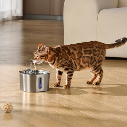 KittySpout 2.2L Smart Pet Fountain: Quiet, Filtered Hydration for Cats & Dogs