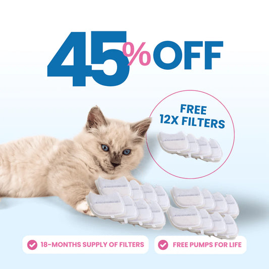 WATER FOUNTAIN FILTERS 12x12=24pcs